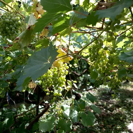 Kisfaludy House Appartement