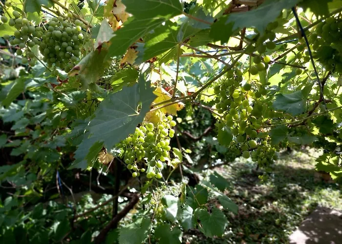 Kisfaludy House Appartement